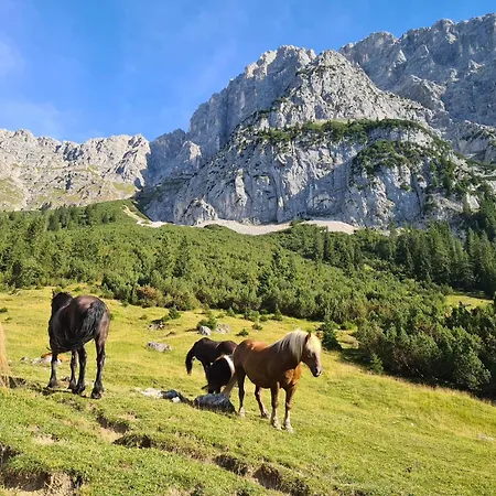 Апартаменты Pichler