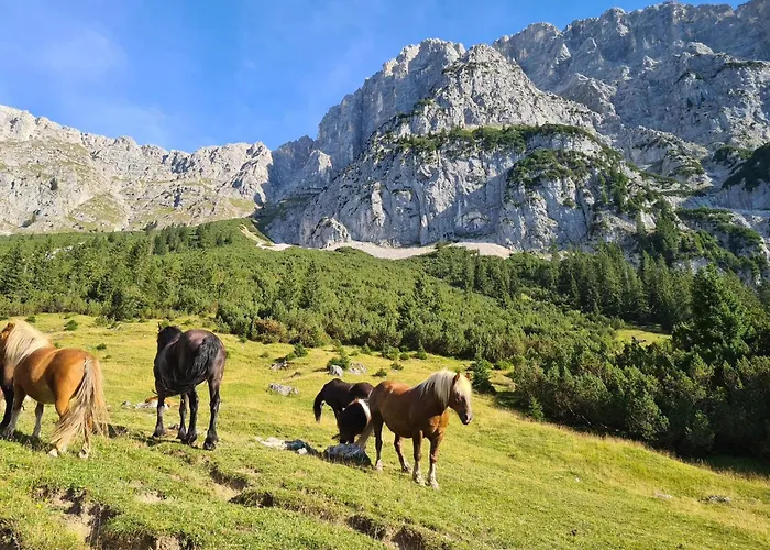 Апартаменты Pichler